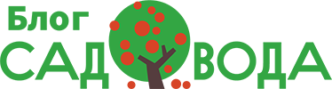 Видео-блог Садовода