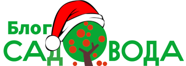 Видео-блог Садовода